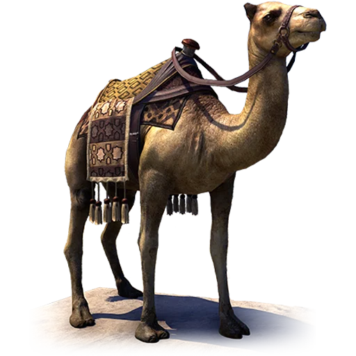 Camels ਬੋਤੇ  sticker 🐪