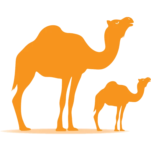 Стікер Camels ਬੋਤੇ 🐪