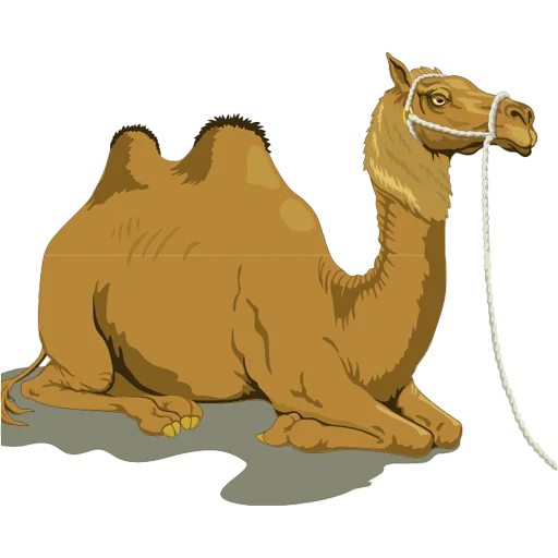 Telegram Sticker «Camels ਬੋਤੇ» 🐫