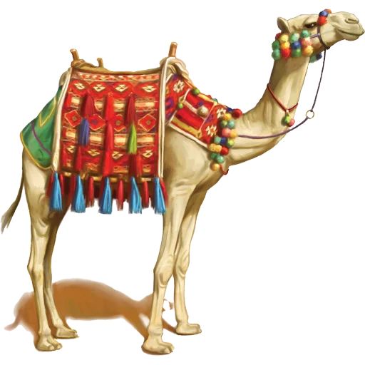 Стикер Camels ਬੋਤੇ  🐫