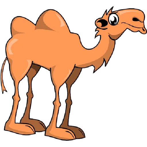 Стикер Telegram «Camels ਬੋਤੇ» 🐫