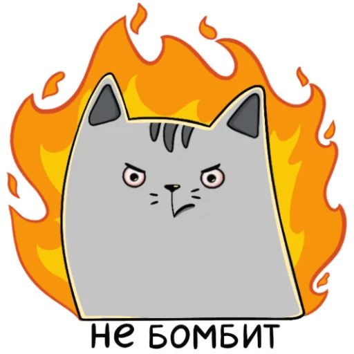 Dev.cat sticker 🔥