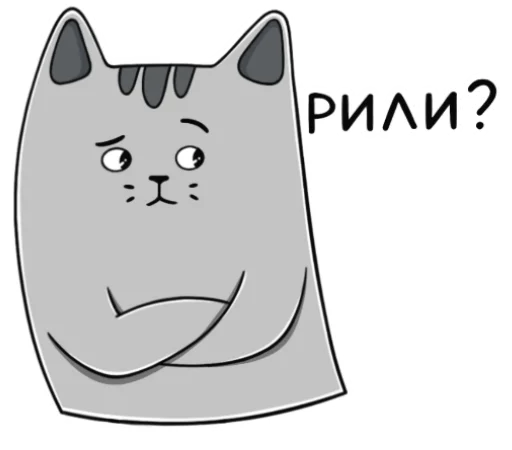 Dev.cat sticker 😳
