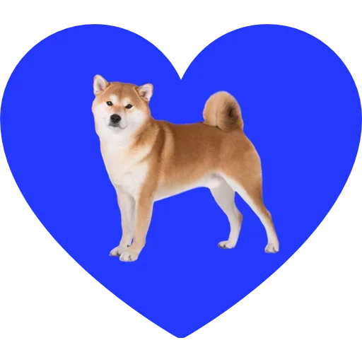 Hearts emoji 🐶