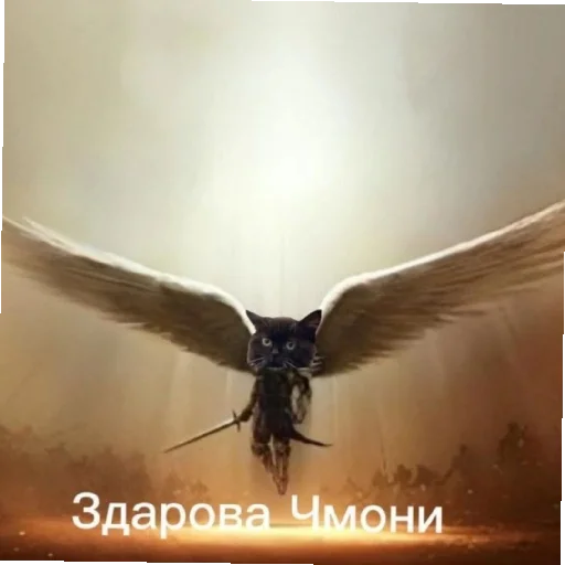 Telegram stiker «Дмитрий ☑️» 😄