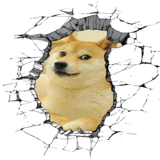 DogCoin stiker 🤪