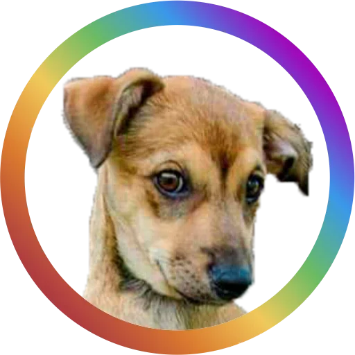 Telegram Sticker «Dog Faces» 🤨