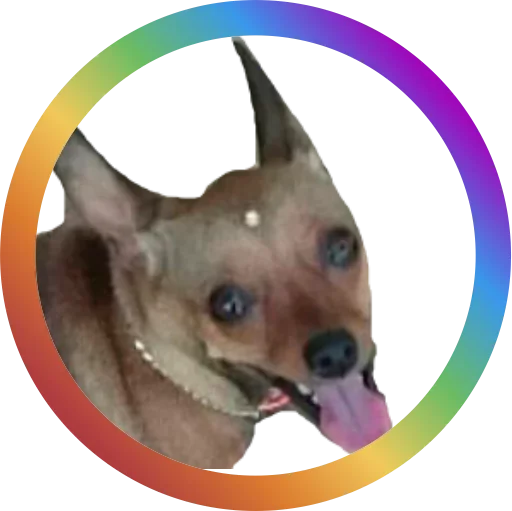 Telegram Sticker «Dog Faces» 🤓
