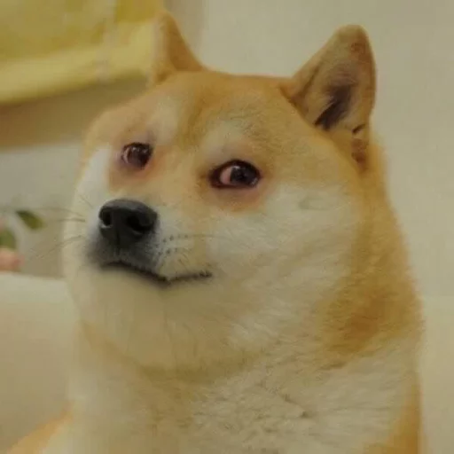 Doge Edits 3 emoji 😥