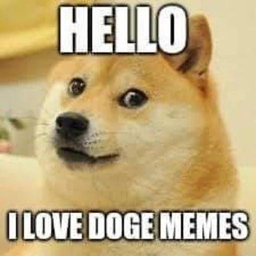 Doge Edits 3 emoji 😺