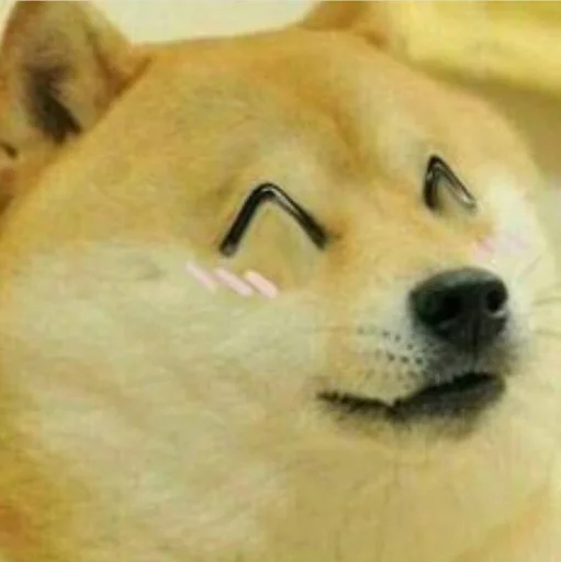 Doge Edits 3 emoji 😁
