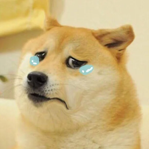 Doge Edits 3 emoji 😢