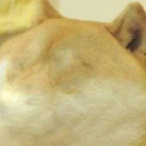 Doge Edits 3 emoji 😶