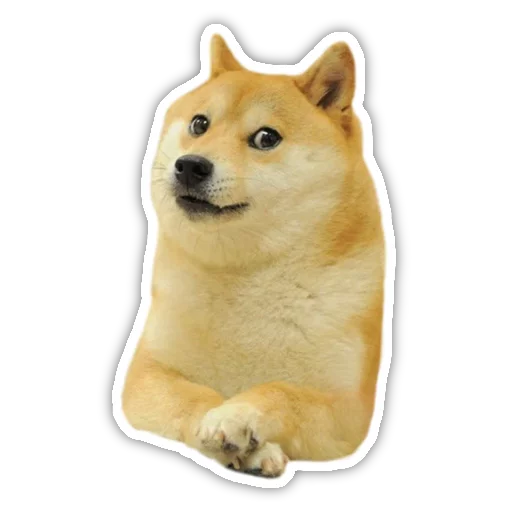 Telegram stiker «Doge» 🐶