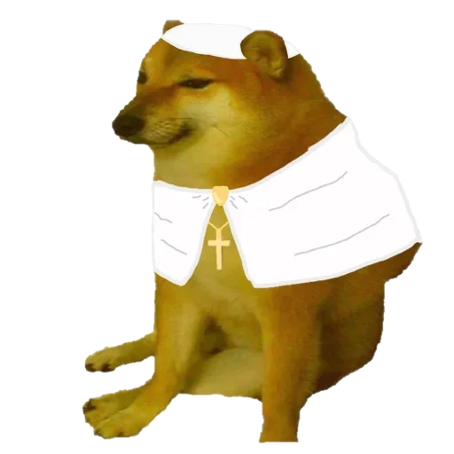 Telegram Sticker «Doge » 🤯