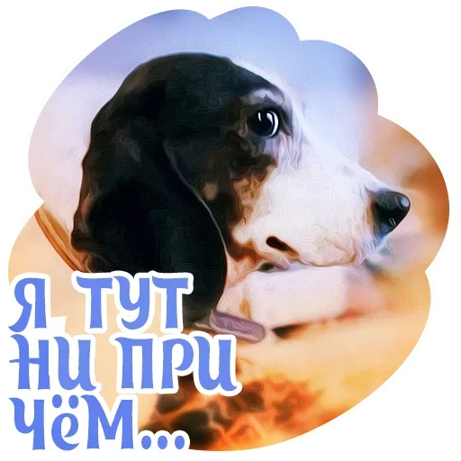 Telegram Sticker «Dogs» ?