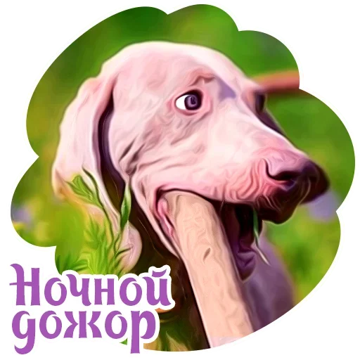 Telegram Sticker «Dogs» ?