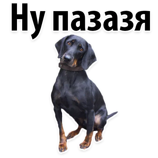 Telegram Sticker «?Собачий Слэнг» 