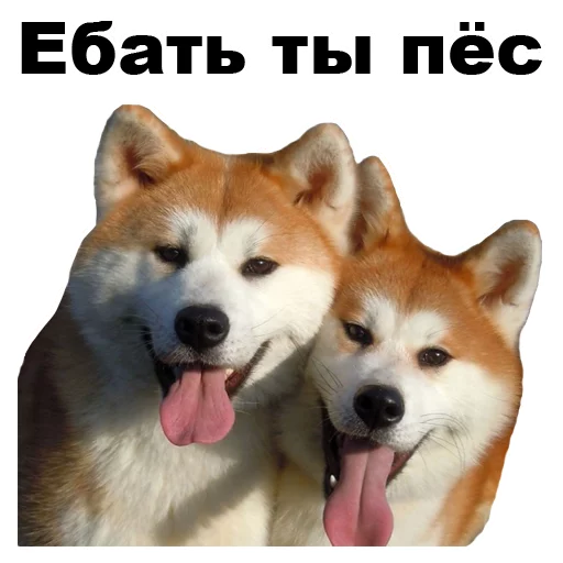Telegram stiker «Псы» 