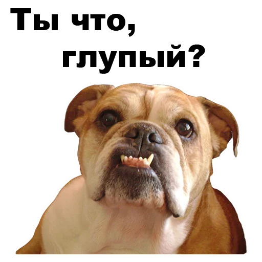 Telegram stiker «Псы » 😐
