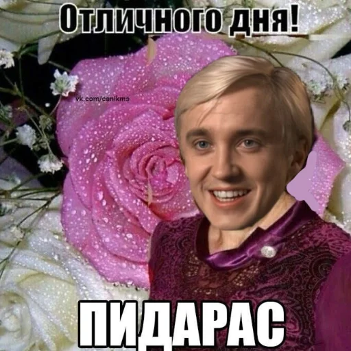 Стікер Telegram «Draco Malfoy» 😊