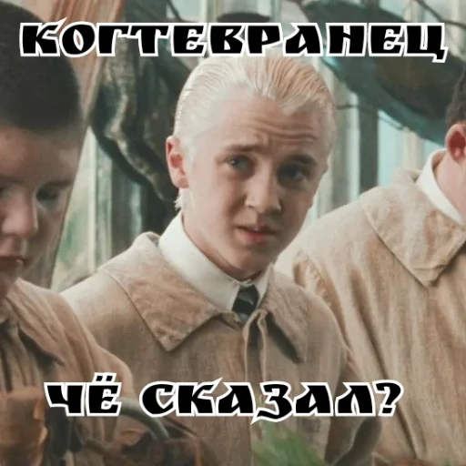 Telegram stiker «Draco Malfoy» 🦅