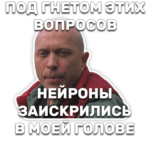 Telegram Sticker «DruzhkoSHOW» ✨