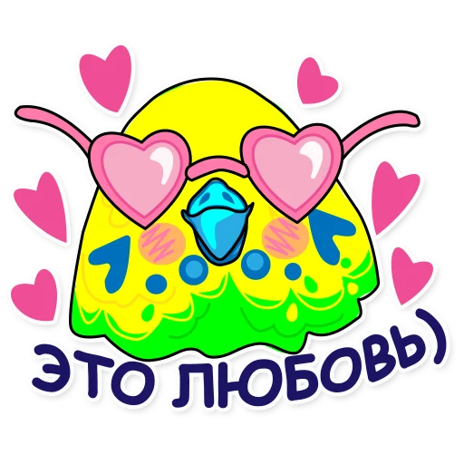 Попугай Аркадий emoji 😍