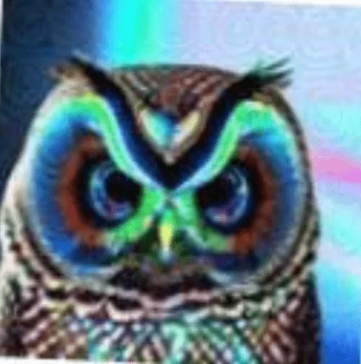 Dubstep Owl sticker 🤬