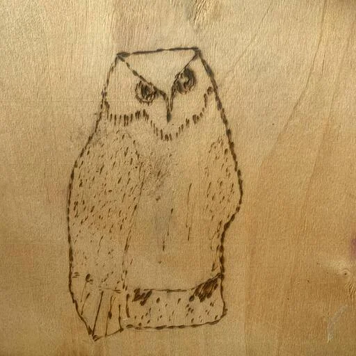 Dubstep Owl sticker 🪵