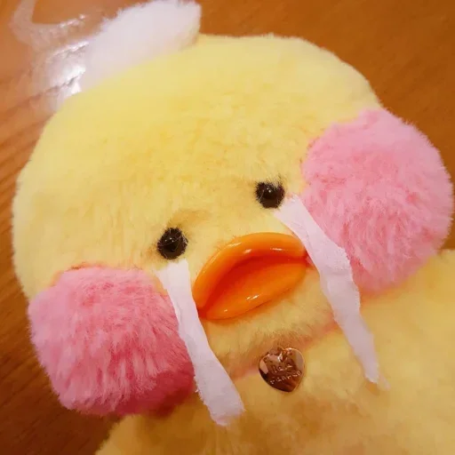 Ducky Dolly emoji 😐
