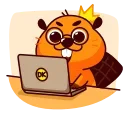 Duelist King Beaver King emoji 🔥