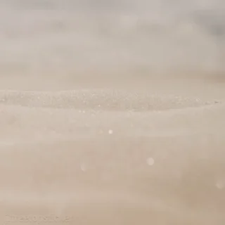 Dune sticker 🐀