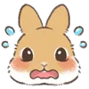 Dwarf Bunny emoji 😲