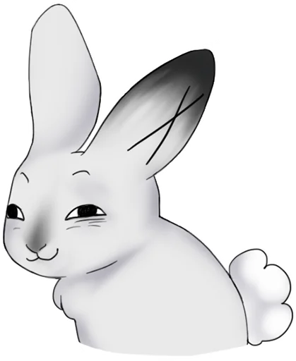 weird bunny emoji 🤪