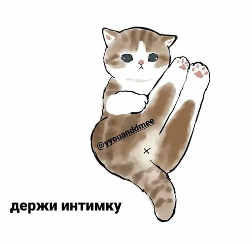 Cats memes sticker 🤍