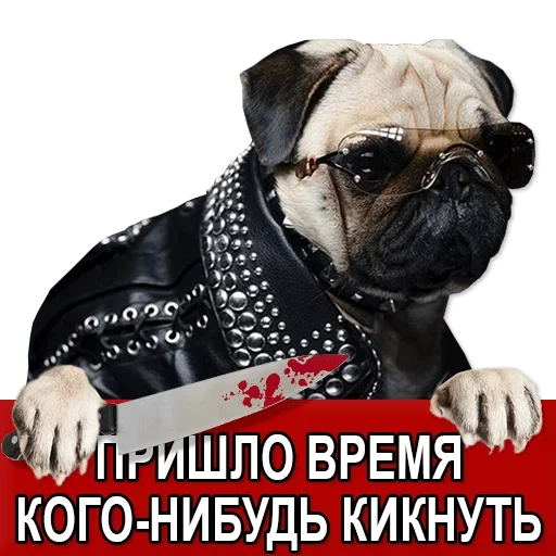 Telegram Sticker «Добиваем Фазу» 😏