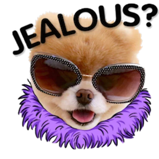 Telegram Sticker «Dogs Friends» ?