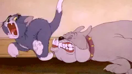 Telegram stiker «dope Tom & Jerry» 😱