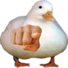 Эмодзи Duck 666 emoji 🫵
