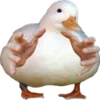 Эмодзи Duck 666 emoji 🦆