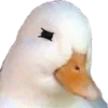 Эмодзи Duck 666 emoji 🥴