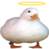 Эмодзи Duck 666 emoji 👼