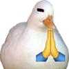 Емодзі Telegram «Duck 666 emoji» 🙏