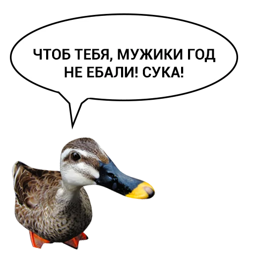 Telegram Sticker «Злая утка» 😡
