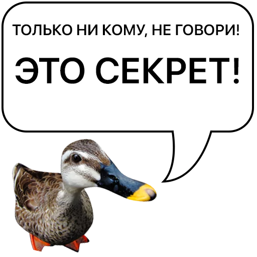 Telegram stiker «Злая утка» 👆