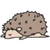 Эмодзи 🦔 Сute hedgehog 🦔 😴