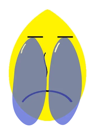 Telegram stiker «Яйцо» 😥