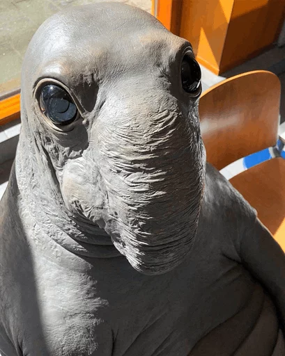 Стікер Telegram «Elephant seal» 😐