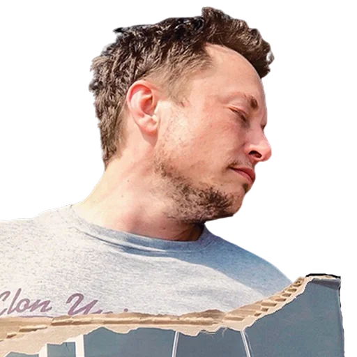 Elon Musk / Илон Маск stiker 💤